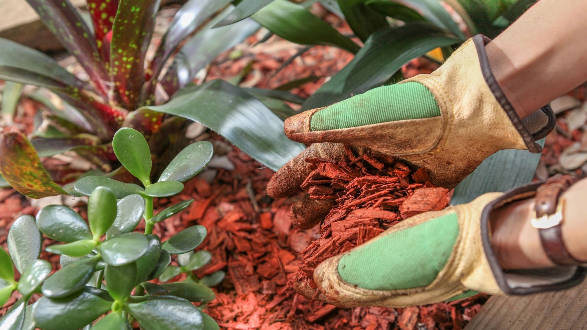 flower bed mulch 2