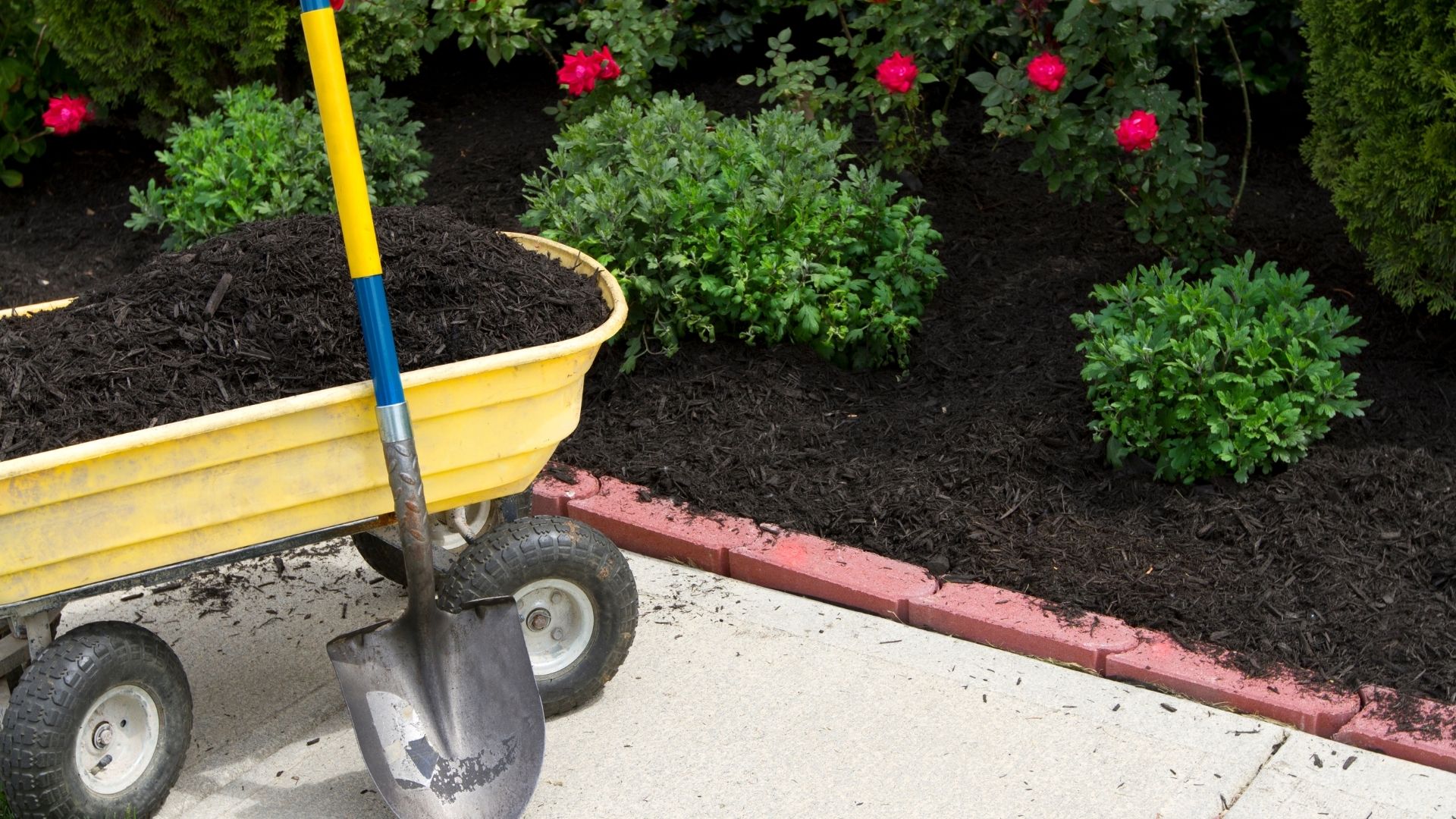 flower bed mulch