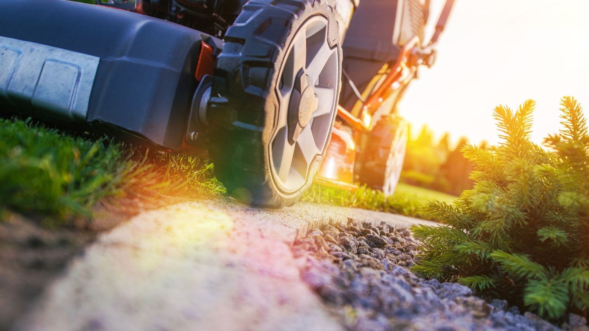 lawn maintenance (1)