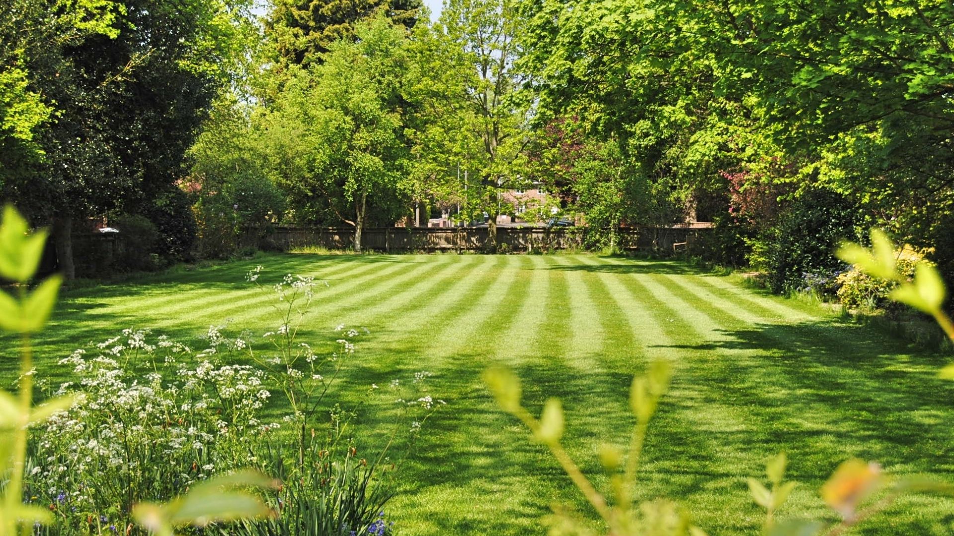 lawn maintenance